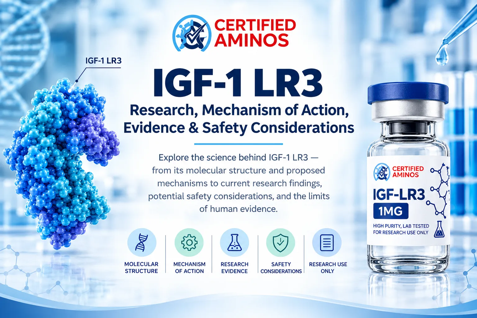 IGF-1 LR3: Research, Mechanism of Action, Evidence & Safety Considerations