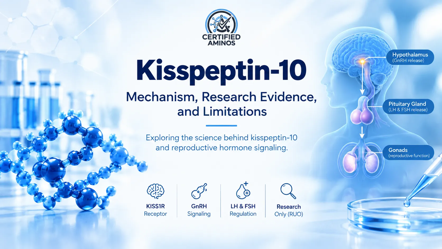 Kisspeptin-10: Mechanism, Research Evidence, and Limitations