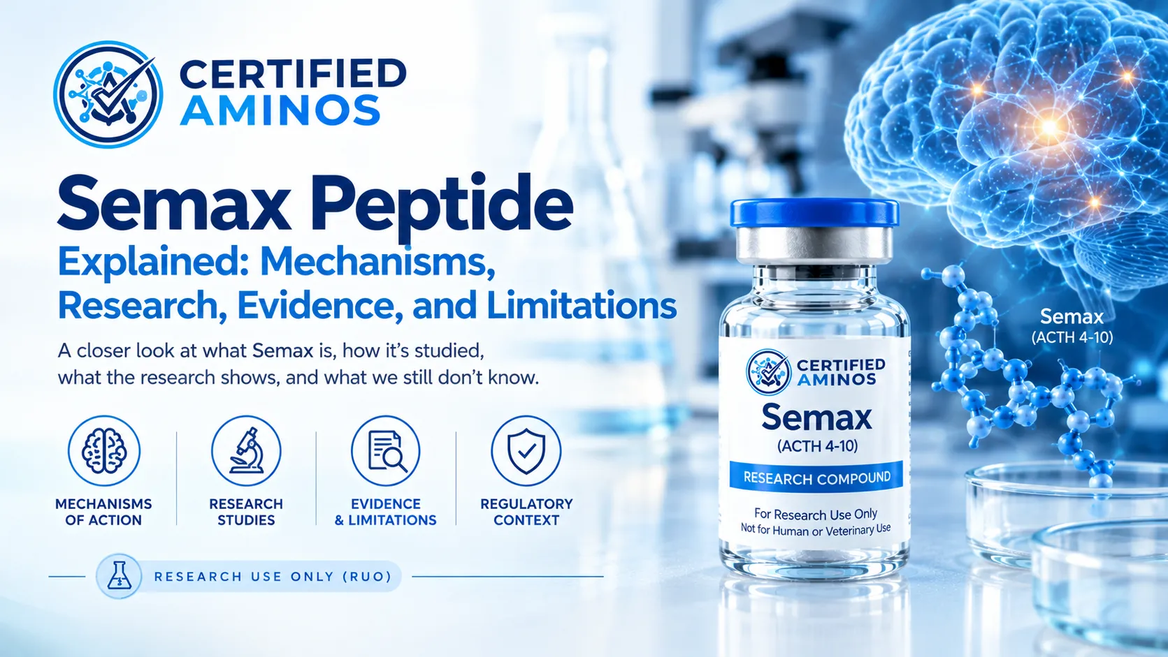 Semax Peptide Explained: Mechanisms, Research, Evidence, and Limitations