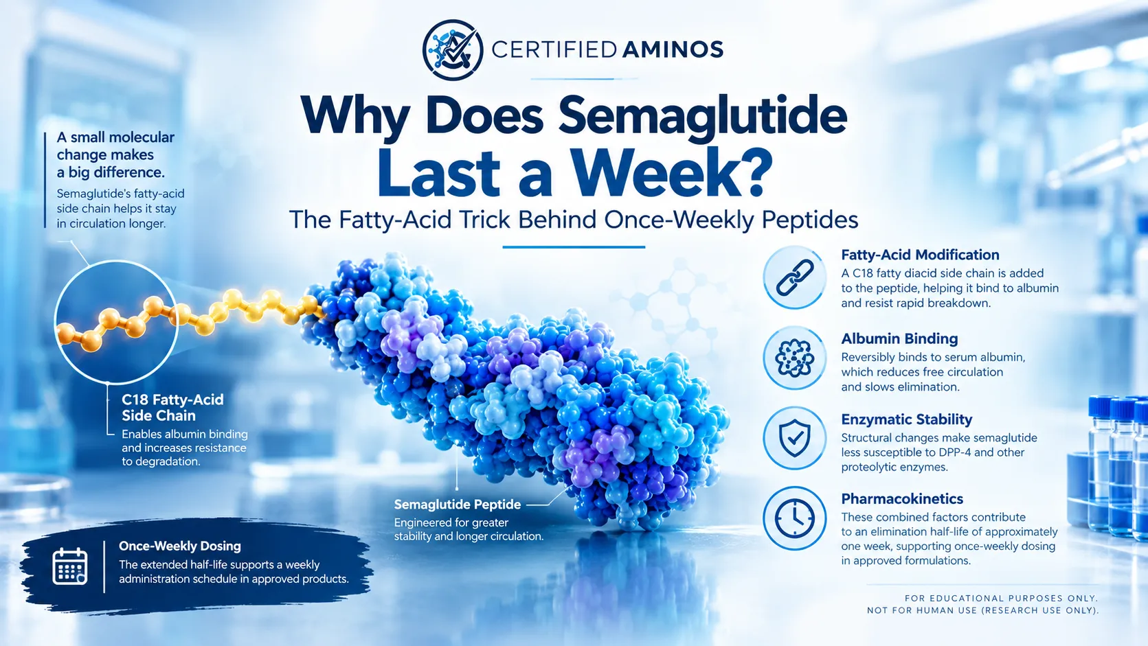Why Does Semaglutide Last a Week? The Fatty-Acid Trick Behind Once-Weekly Peptides